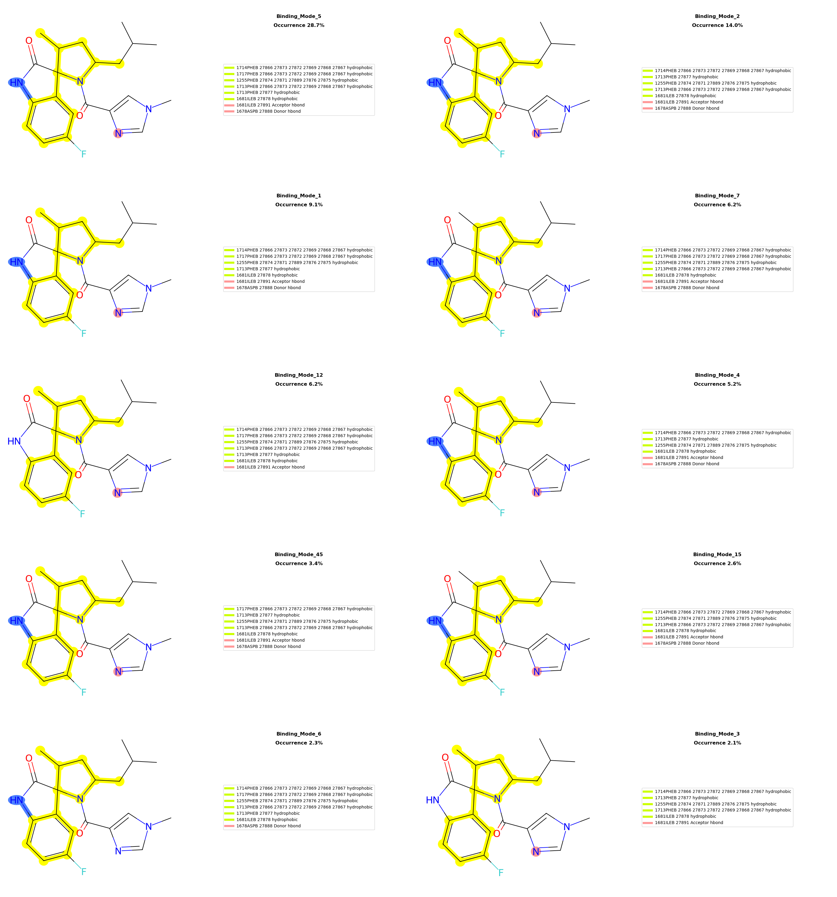 _images/all_binding_modes_arranged.png